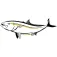 Hotspot design Autocolante Amberjack