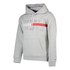 Tommy jeans Sudadera Con Capucha Reflective Flag