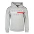Tommy jeans Sudadera Con Capucha Reflective Flag