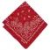 Levi´s ® Sciarpa Paisley
