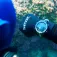 SEAC Action dive computer