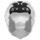 AGV Pista GP RR innerforing