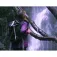Overboard Pro-Light 20L 背包