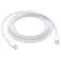 Apple Câble Charge USB-C