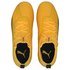 Puma Chaussures Football One 20.2 FG/AG