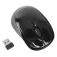 Targus AMW50EU wireless mouse