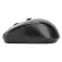 Targus Mouse wireless AMW50EU
