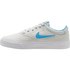 Nike SB Charge Canvas GS