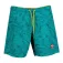 Napapijri Vail 3 uimashortsit