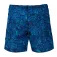 Napapijri Vail 3 uimashortsit