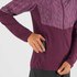 Salomon Agile Full Zip Sweatshirt