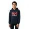 Helly hansen Moletom com capuz Logo