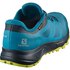 Salomon Chaussures de trail running Trailster 2 Goretex