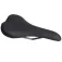 WTB Selle Volt Titanium