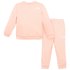 The north face Surgent Crew Toddler Track Suit