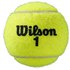 Wilson Tennisbolde Roland Garros Clay