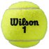 Wilson Tennis Bollar Roland Garros All Court