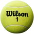 Wilson Palla Da Tennis Enorme Roland Garros 1 9´´
