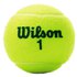 Wilson Tennisbolde Roland Garros