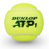 Dunlop Palline Tennis ATP Championship