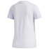 adidas Essentials Branded Short Sleeve T-Shirt