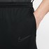 Nike Pantalones Dri Fit Academy Pro Track