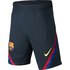 Nike Pantalon Corto FC Barcelona Dri Fit Strike Jaquard 19/20 Junior