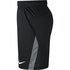 Nike Pantalon Court Dri-Fit 5.0
