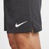 Nike Dri-Fit 2.0 Krótkie Spodnie