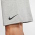 Nike Pantalon Court Dri-Fit 2.0