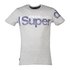 Superdry Core Split Logo Short Sleeve T-Shirt