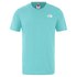 The north face Red Box Celebration Short Sleeve T-Shirt
