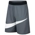 Nike Dri Fit HBR 2.0 Short Pants