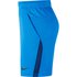 Nike Pantalones Cortos Dri Fit 5.0