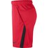 Nike Dri Fit 5.0 Short Pants
