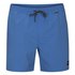 Hurley Short De Bain One & Only Volley