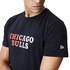 New era NBA Chicago Bulls Gradient Wordmark Short Sleeve T-Shirt