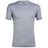 Icebreaker Amplify Merino Short Sleeve T-Shirt