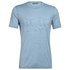 Icebreaker Tech Lite Crew Full Cycle Merino Short Sleeve T-Shirt
