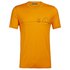 Icebreaker Tech Lite Crew Single Line Camp Merino Short Sleeve T-Shirt