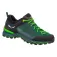 Salewa Mountain Trainer Lite Goretex hiking shoes
