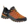 Salewa MTN Trainer Lite hiking shoes