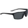 Nike Windstorm polarized sunglasses