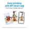 HP Q8691A Fotopapper