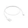 Apple Cable USB Llamp a 50 cm