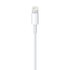 Apple Para Cabo USB Lightning 50 Cm