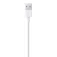 Apple Lightning To usb cable 50 cm