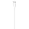 Apple Lightning To 2 m USB-Cケーブル
