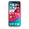 Apple iPhone XS Max Smart Battery Case