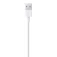 Apple Cable USB Llamp a 1